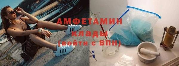 PSILOCYBIN Белокуриха