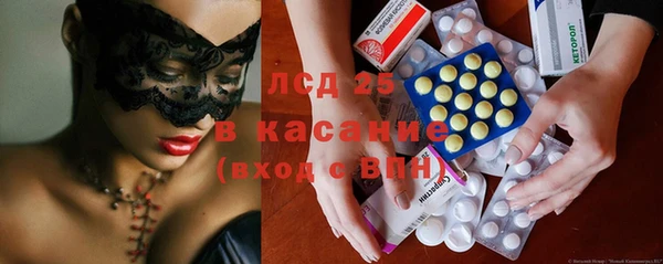 PSILOCYBIN Белокуриха