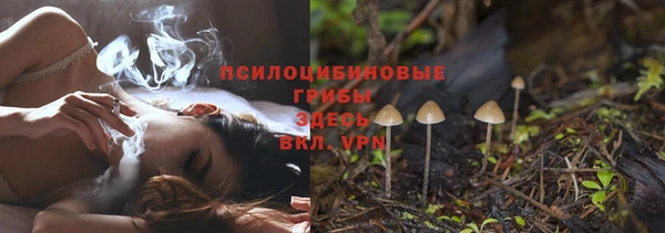 тгк Беломорск