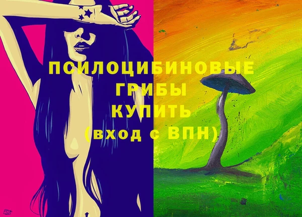 тгк Беломорск
