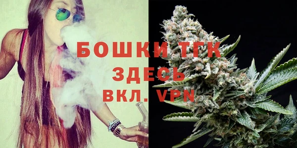 PSILOCYBIN Белокуриха