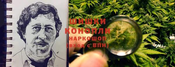 PSILOCYBIN Белокуриха