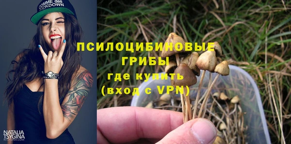 тгк Беломорск