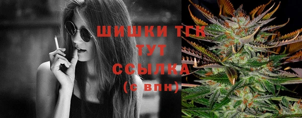 PSILOCYBIN Белокуриха