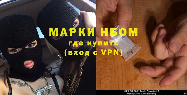 PSILOCYBIN Белокуриха