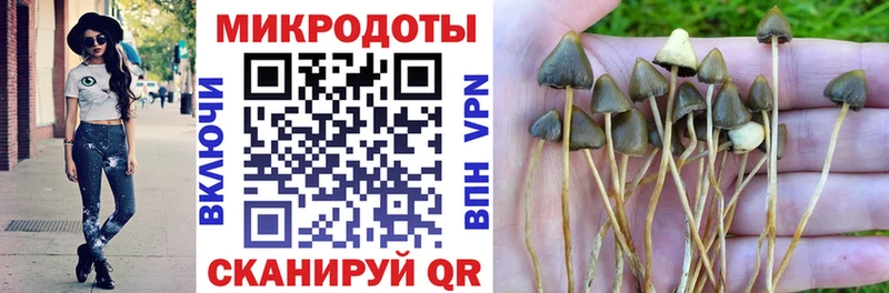 Галлюциногенные грибы Psilocybine cubensis  Ессентукская 